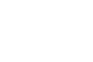 Logo Orcal White